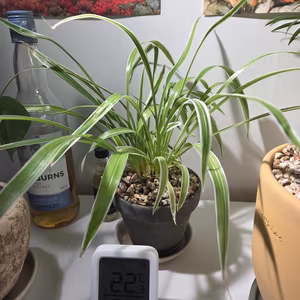 Photo from Feb. 28, 2026