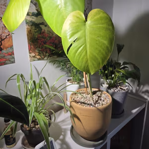 Photo from Feb. 28, 2026