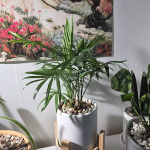 Photo from Feb. 28, 2026