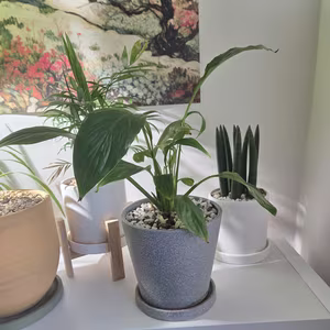 Photo from Feb. 28, 2026