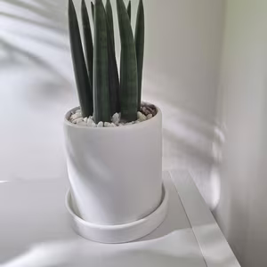 Photo from Feb. 28, 2026