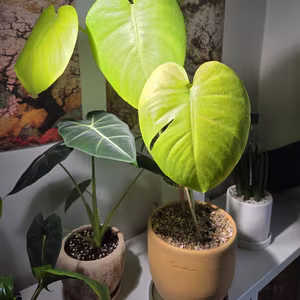 Photo from March 3, 2026