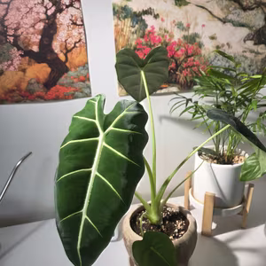 Photo from March 14, 2026