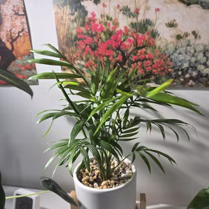 Photo from March 14, 2026