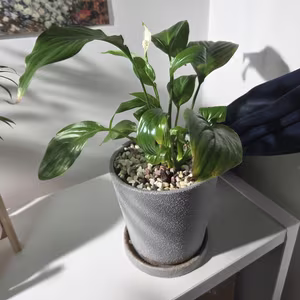 Photo from March 14, 2026