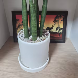 Photo from March 14, 2026