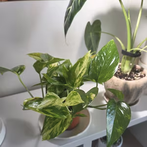 Photo from March 22, 2026